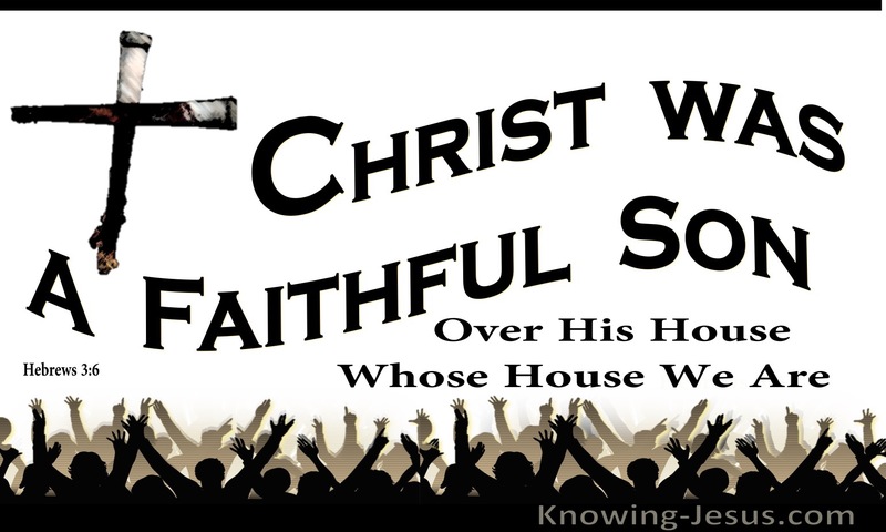 Hebrews 3:6 Christ Was A Faithful Son Over All His House (white)
